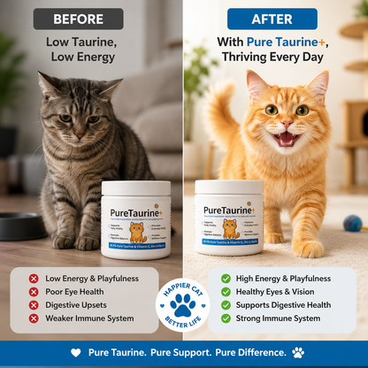 Pure Taurine